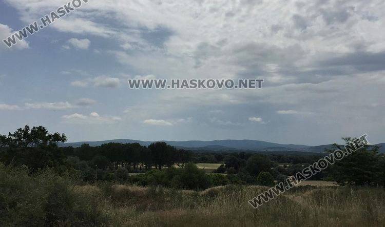 Слънце до обед, дъжд следобед