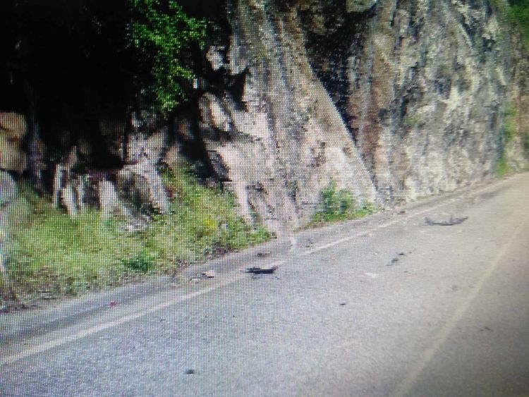 19-годишен пострада при пътен инцидент на пътя Асеновград-Смолян 