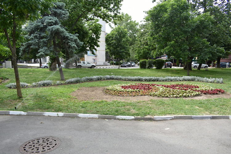 Поливната система в Градския парк вече функционира активно 