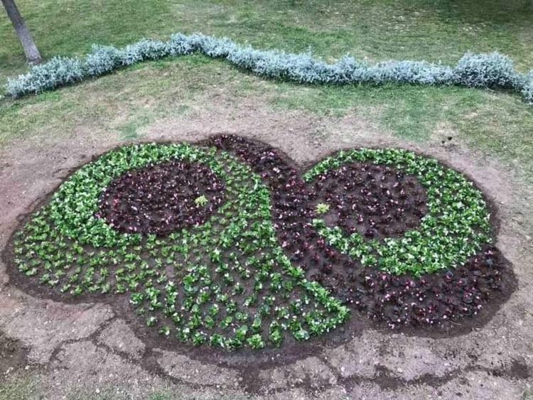 Засадиха хиляди цветя в различни зони на Асеновград