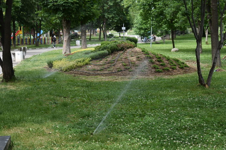 Поливната система в Градския парк вече функционира активно 