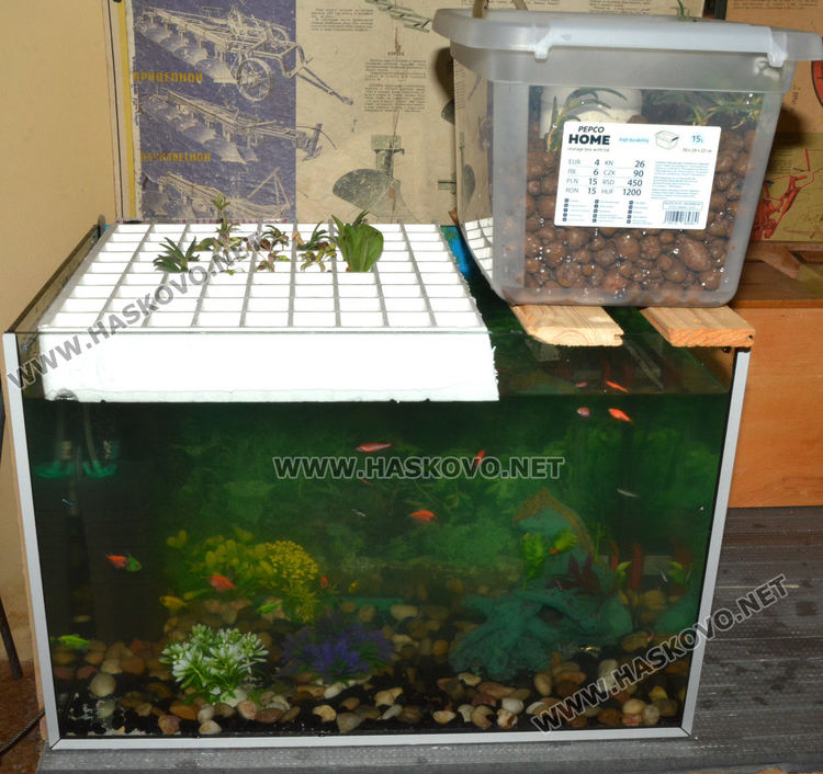 Седмокласници разгледаха новостите в Професионална гимназия по транспорт и аграрни технологии