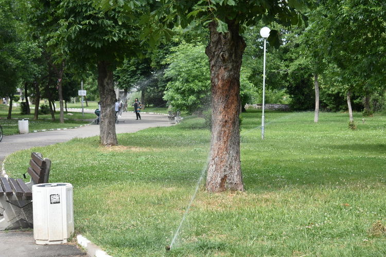 Поливната система в Градския парк вече функционира активно 