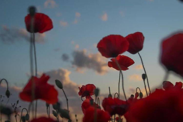 Снимка: Нина Серафимова