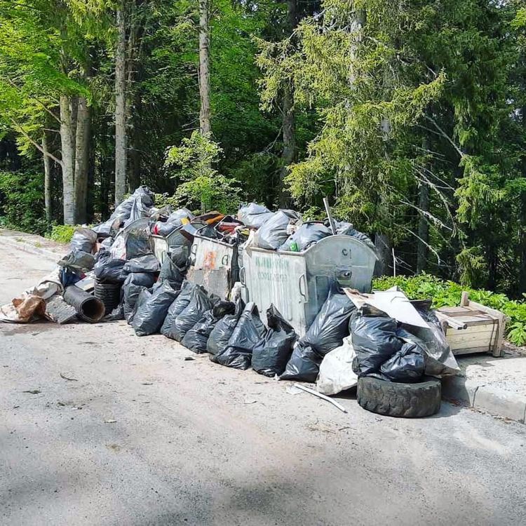Десетки доброволци се включиха в почистването на Пампорово