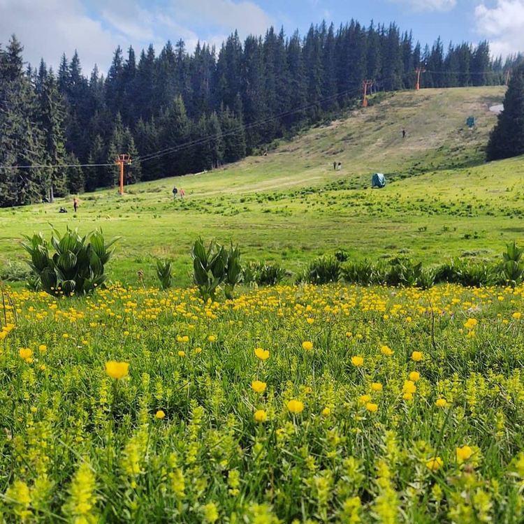 Десетки доброволци се включиха в почистването на Пампорово