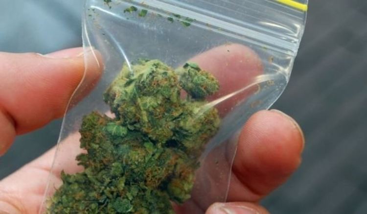 Задържаха хлапак с марихуана в Кърджали
