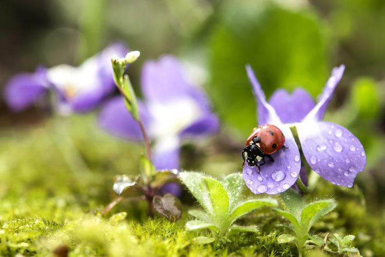 Предобед слънчево, следобед - облачно