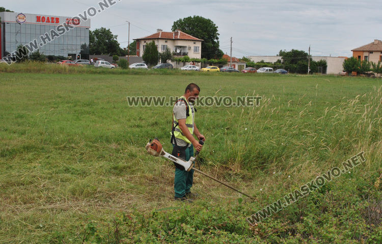 Разчистват занемарено игрище в &bdquo;Болярово&ldquo;