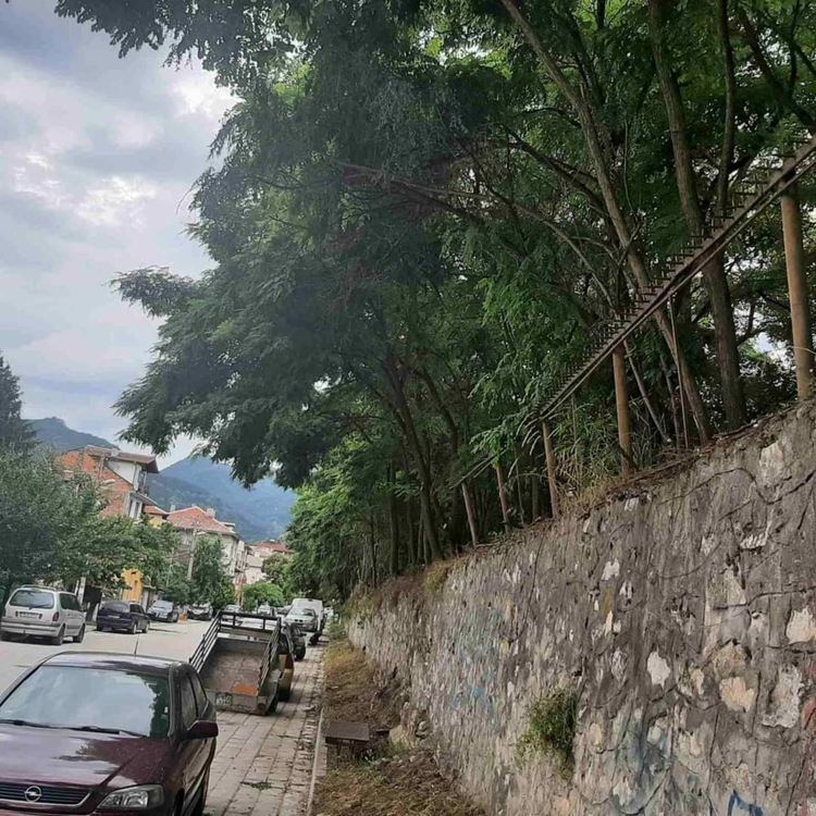 Започна кастрене на клоните на дърветата на старите трибуни на стадион "Шипка"