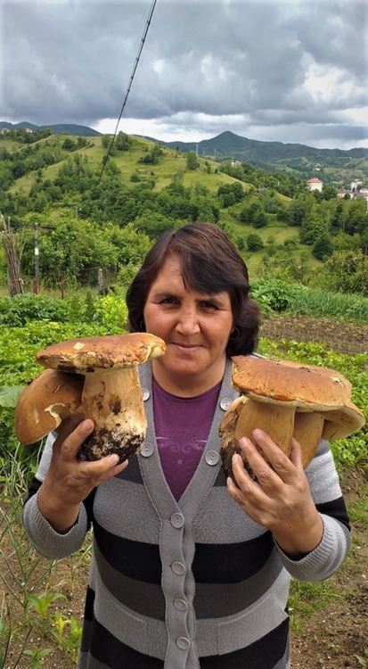 Севинч от Ардино намери четири манатарки, тежащи два килограма и половина