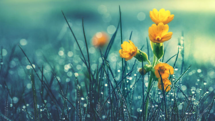 Слънце, дъжд и гръмотевици