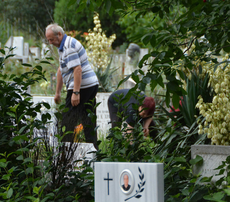 Днес е Черешова задушница