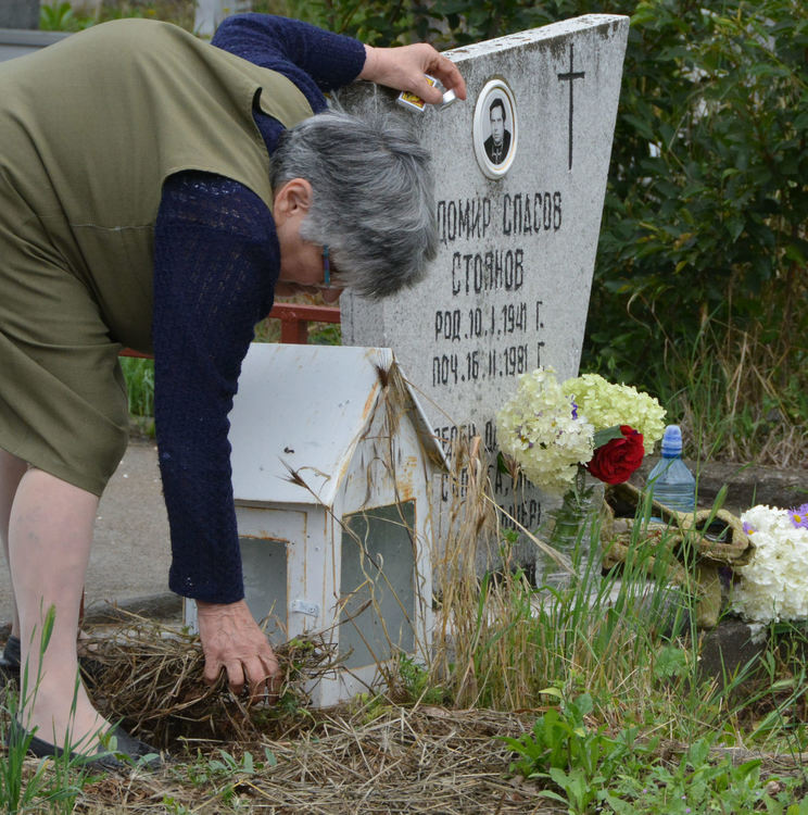 Днес е Черешова задушница