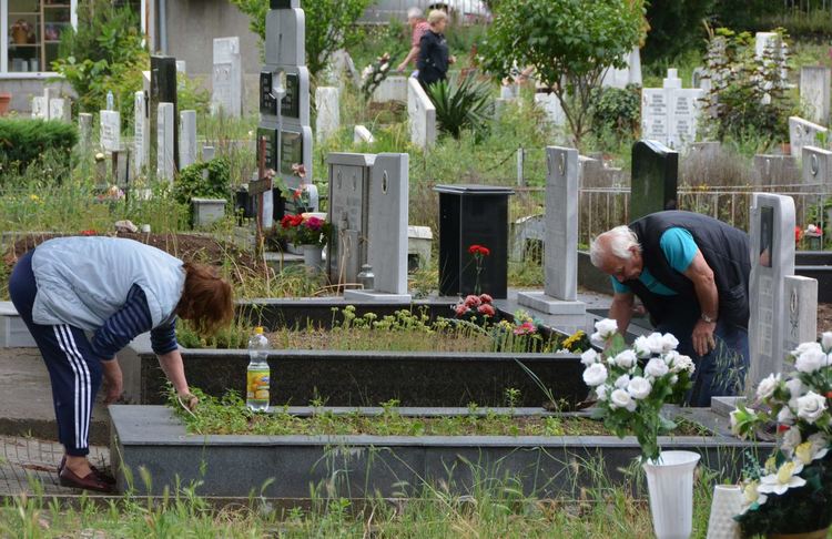 Днес е Черешова задушница