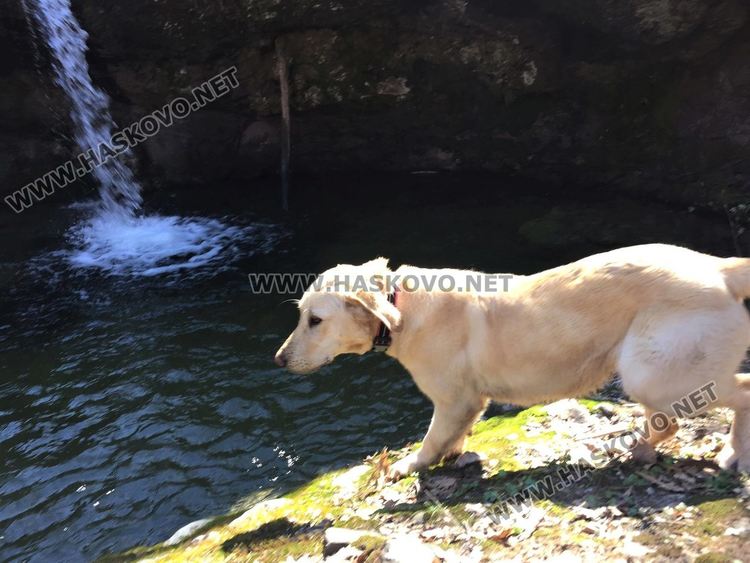 Приятна разходка за цялото семейство до "Тайните водопади" край Малко градище