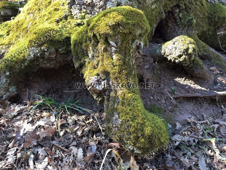 Приятна разходка за цялото семейство до "Тайните водопади" край Малко градище