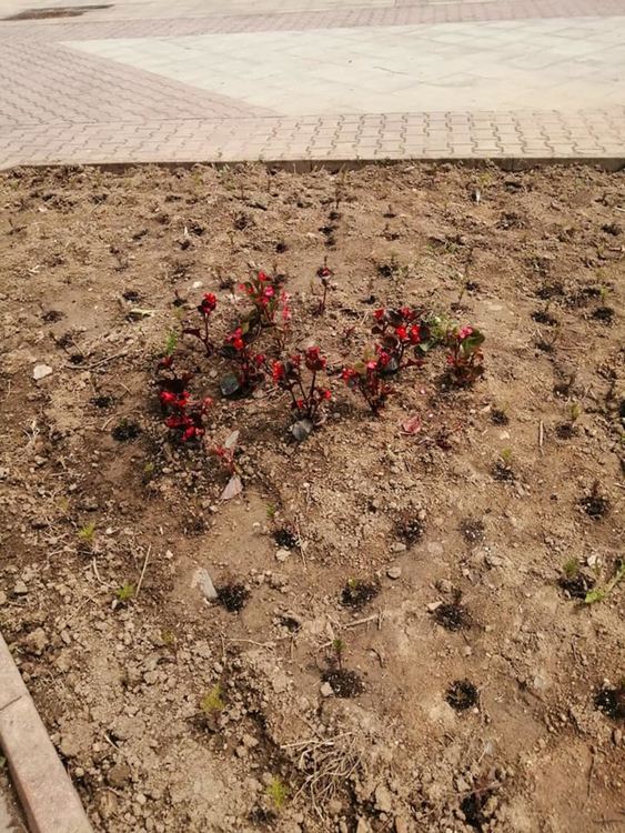 Смолянчани възмутени от вандализма!  До кога ще продължи съсипването на хубавите неща?