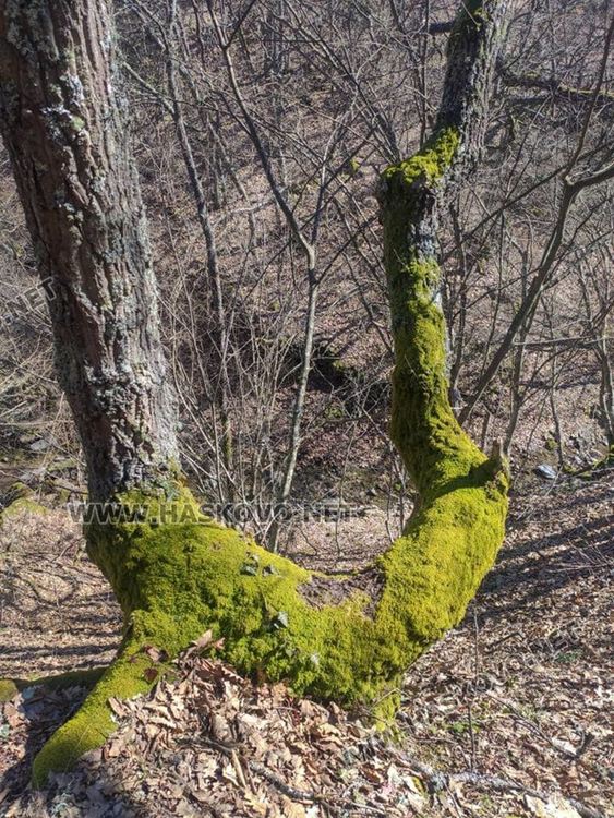 Приятна разходка за цялото семейство до "Тайните водопади" край Малко градище