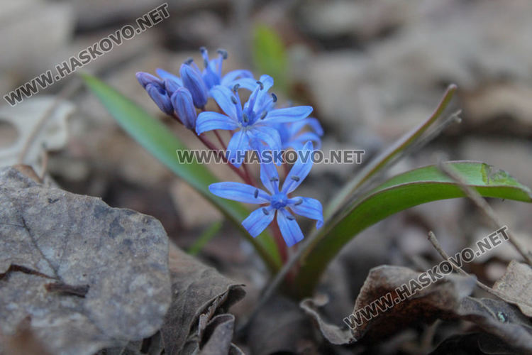 Приятна разходка за цялото семейство до "Тайните водопади" край Малко градище