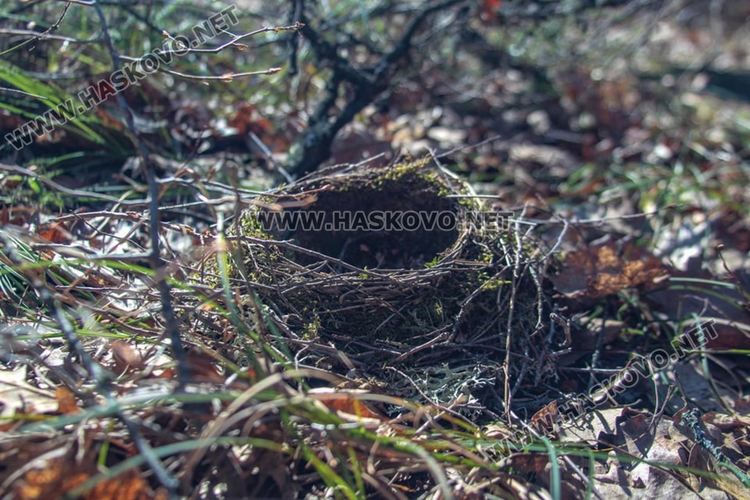 Приятна разходка за цялото семейство до "Тайните водопади" край Малко градище