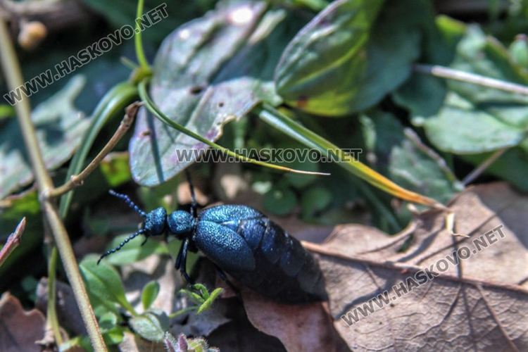 Приятна разходка за цялото семейство до "Тайните водопади" край Малко градище