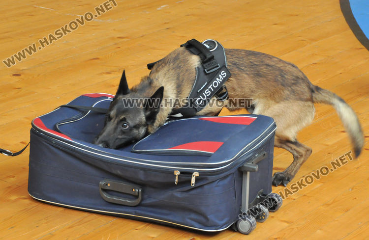 Стефан Бакалов, отдел „Борба с наркотрафика“, АМ: Наркотиците стават все по-евтини, все по-достъпни и все по-опасни 