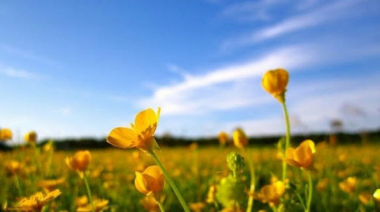 Внимание! Опасно горещо с температури до 39 градуса, за Смолян малко по-ниски