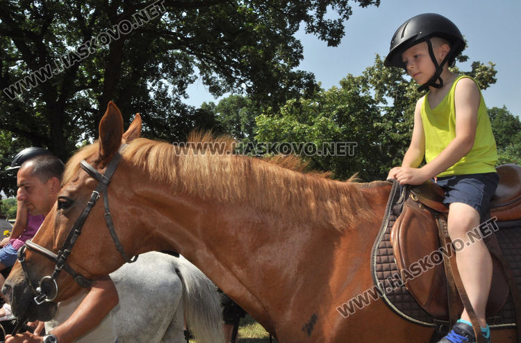 С народни танци, Еньовски венец и конна езда започна празникът на билките и здравето