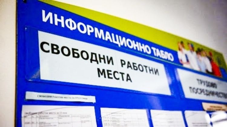 Безработицата в Първомай вече е под 8%