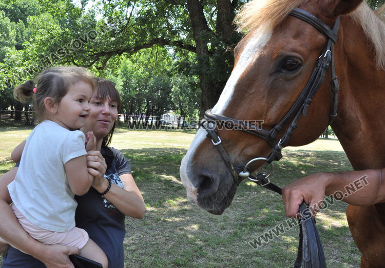 С народни танци, Еньовски венец и конна езда започна празникът на билките и здравето