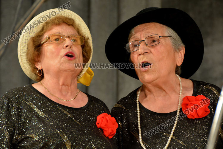 Започна двудневният конкурс-фестивал &bdquo;С песните на Ари&ldquo; в Хасково