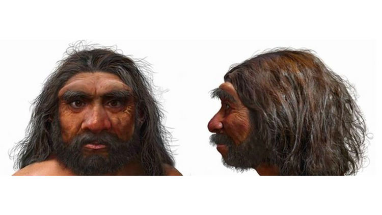 Ето как може да е изглеждал "човекът-дракон". Черепът му предполага, че е бил със силно телосложение. Източник: KAI GENG