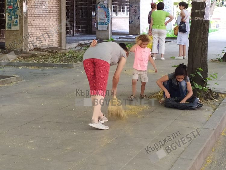 Голямото метене на кърджалийските улици започна,роми събират падналия цвят от липите