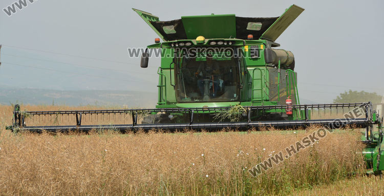 Рапицата с по-висока изкупна цена, но поскъпнаха торове, части и техника