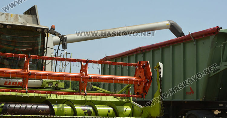 Рапицата с по-висока изкупна цена, но поскъпнаха торове, части и техника