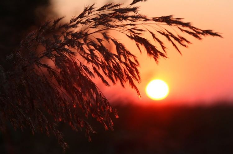 Перничани посрещнаха първото юлско утро на крайградската крепост