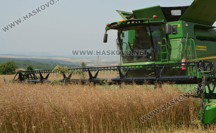 Рапицата с по-висока изкупна цена, но поскъпнаха торове, части и техника