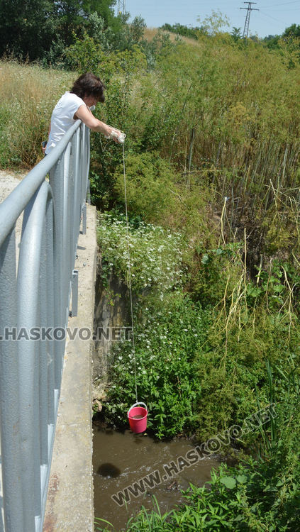 Мор за рибата от замърсяване по р.Банска