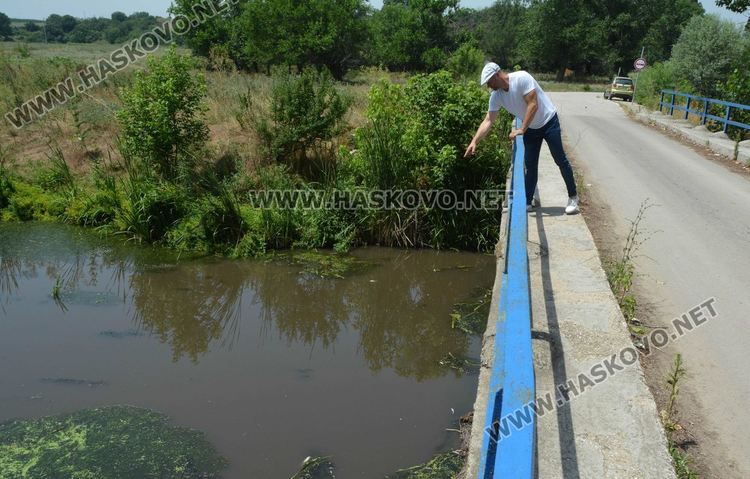Мор за рибата от замърсяване по р.Банска