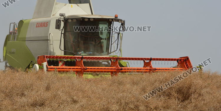 Рапицата с по-висока изкупна цена, но поскъпнаха торове, части и техника