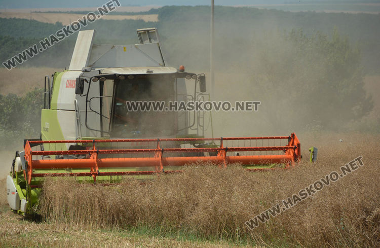 Рапицата с по-висока изкупна цена, но поскъпнаха торове, части и техника