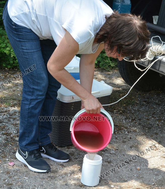 Мор за рибата от замърсяване по р.Банска