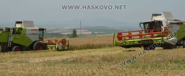 Рапицата с по-висока изкупна цена, но поскъпнаха торове, части и техника