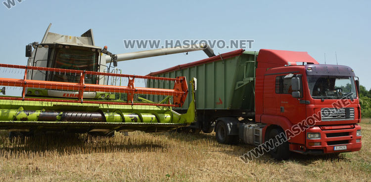 Рапицата с по-висока изкупна цена, но поскъпнаха торове, части и техника