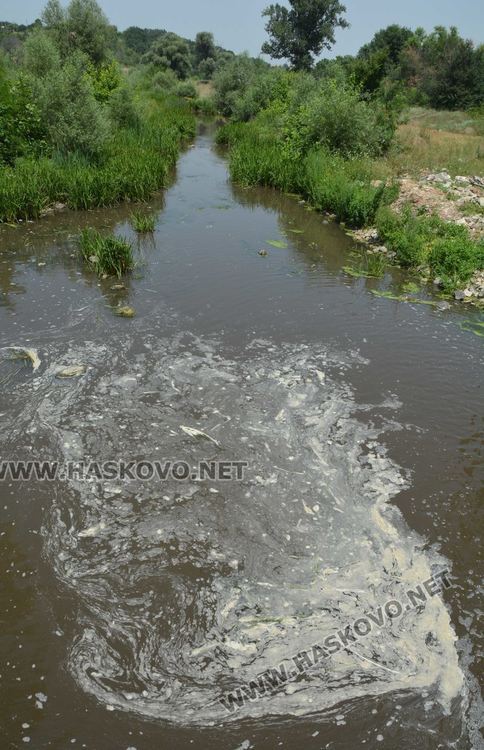 Мор за рибата от замърсяване по р.Банска