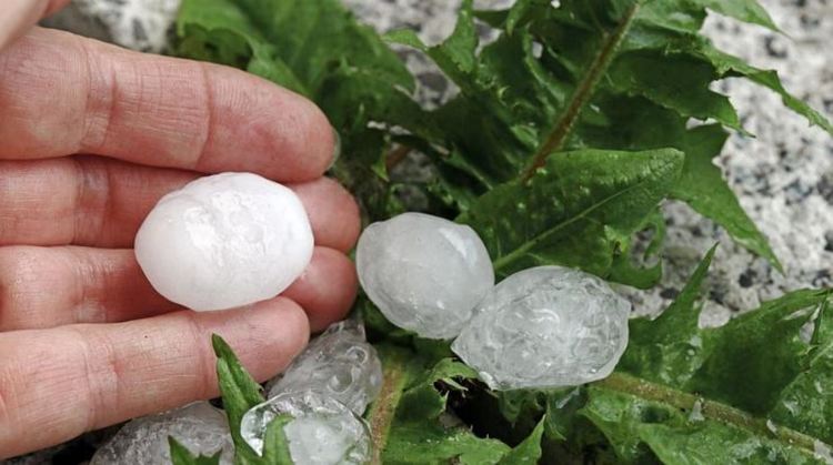 Градушка унищожи насажденията и посевите във видинското село Майор Узуново