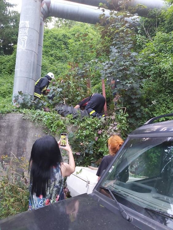 Роден с късмет или как пожарникари спасиха Мавро, за да намери свой дом и семейство