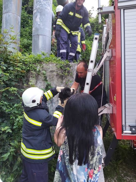 Роден с късмет или как пожарникари спасиха Мавро, за да намери свой дом и семейство