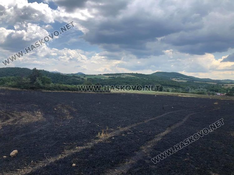 Пожар унищожи 30 дка жито